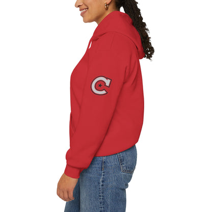 Camden Minneapolis Red Hoodie