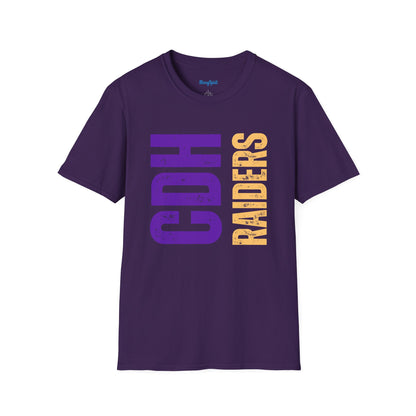 Cretin Derham Hall Raiders Side Block T-Shirt
