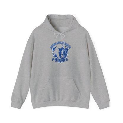 Vintage Minneapolis North Polars Hoodie