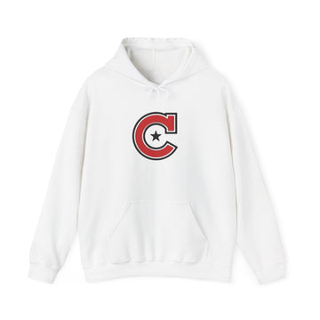 Minneapolis Camden Stylish Unisex Sweatshirt, Cozy Casual Hoodie for Everyday Wear