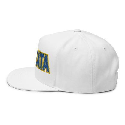 Wayzata Trojans Flat Bill Cap
