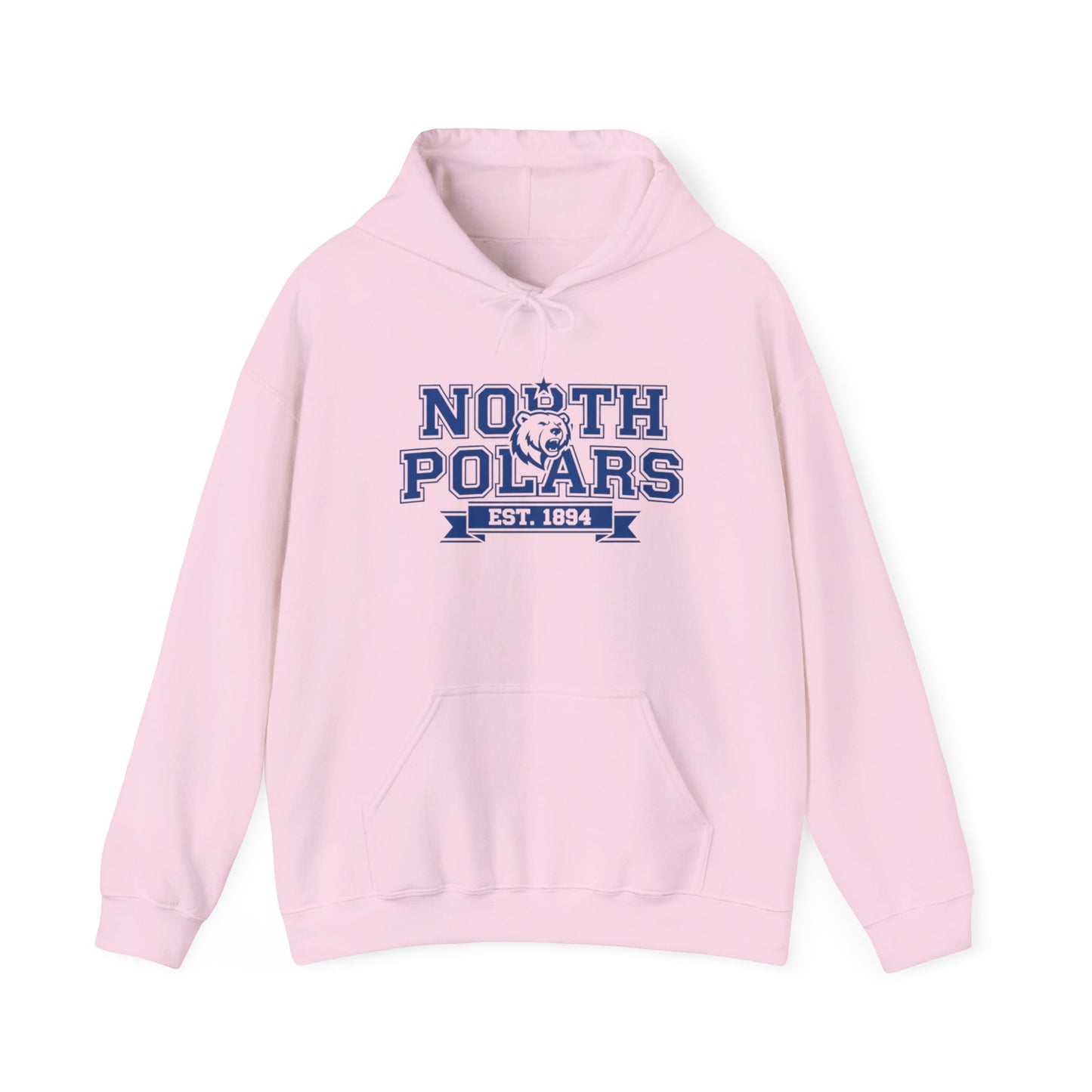 Minneapolis North Polars Vintage Design Sweatshirt
