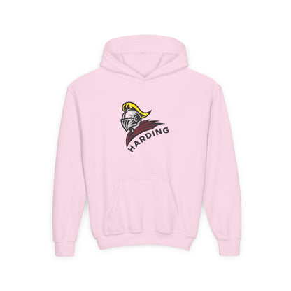 Youth Hooded Sweatshirt with Harding Knight Design