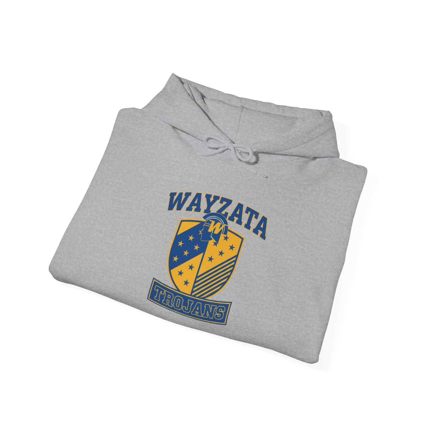 Wayzata Trojans Vintage Hoodie