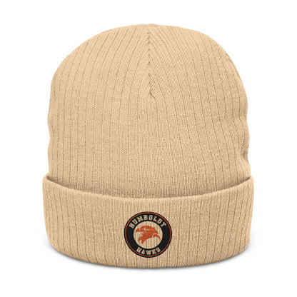 Saint Paul Humboldt Hawks Embroidered Ribbed Knit Beanie