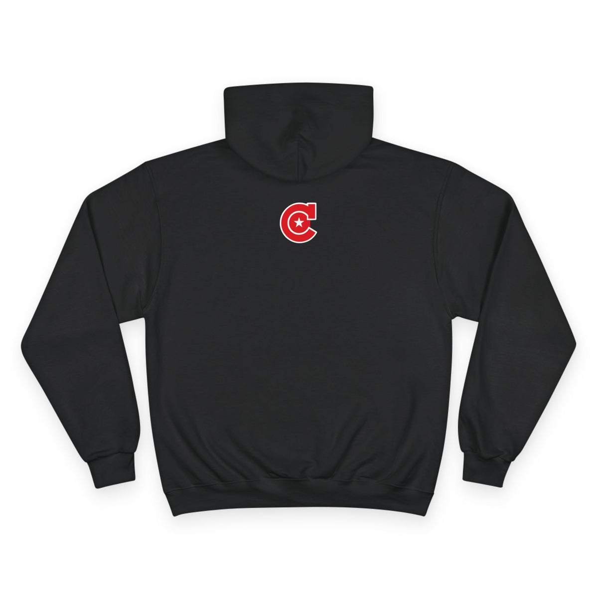 Minneapolis Camden Champion Hoodie — Retro Collegiate Pullover