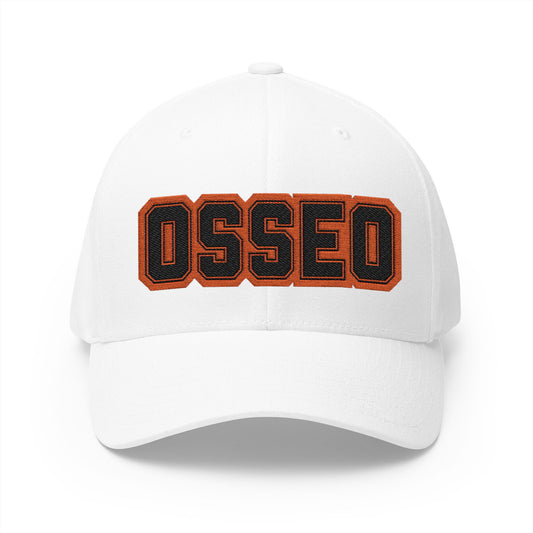Osseo Orioles Bubble Logo Embroidered Cap