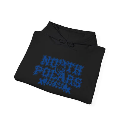 Minneapolis North Polars Vintage Design Sweatshirt
