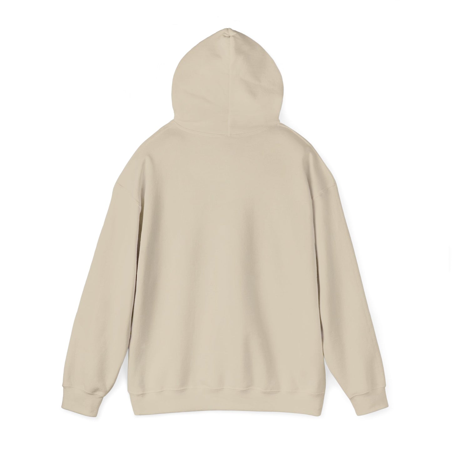 America 250th Anniversary Hoodie