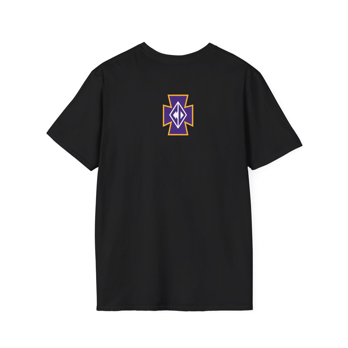 Cretin Derham Hall Raiders Side Block T-Shirt