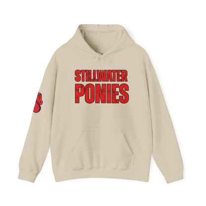 Stillwater Ponies Hoodie