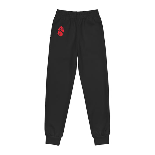 Stillwater Ponies Youth Joggers – Kids Casual Athletic Pants