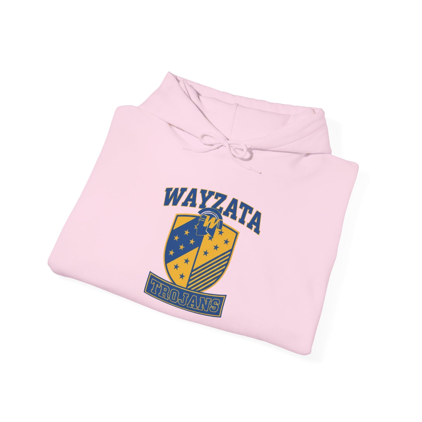 Wayzata Trojans Vintage Hoodie