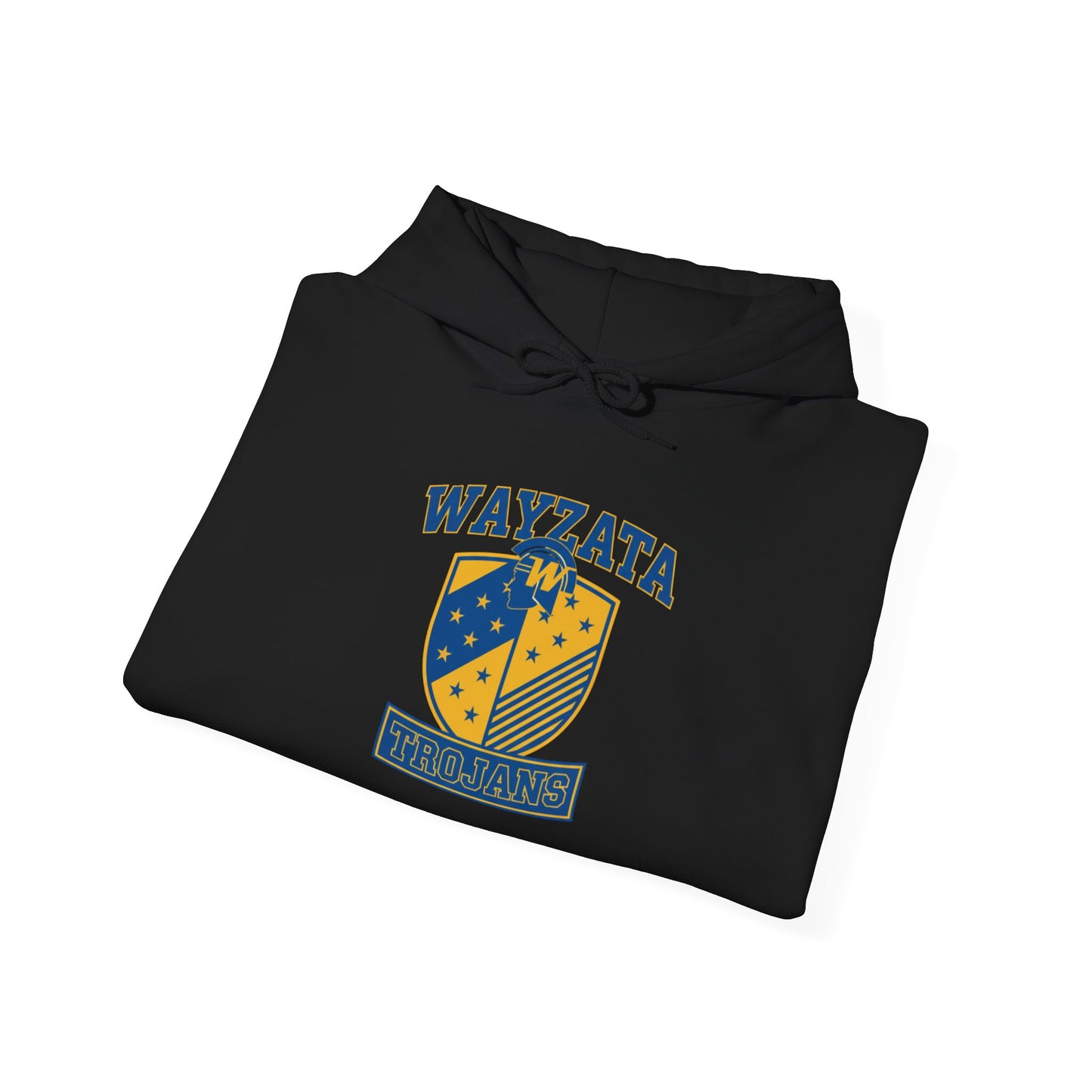 Wayzata Trojans Vintage Hoodie