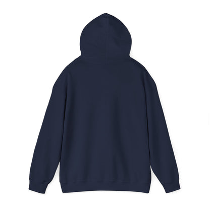 Columbia Heights Hylanders Gold and Navy Graphic Hoodie