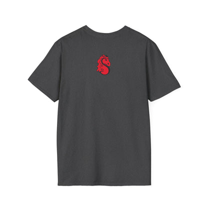 Stillwater Ponies T-Shirt — Bold School Spirit Tee