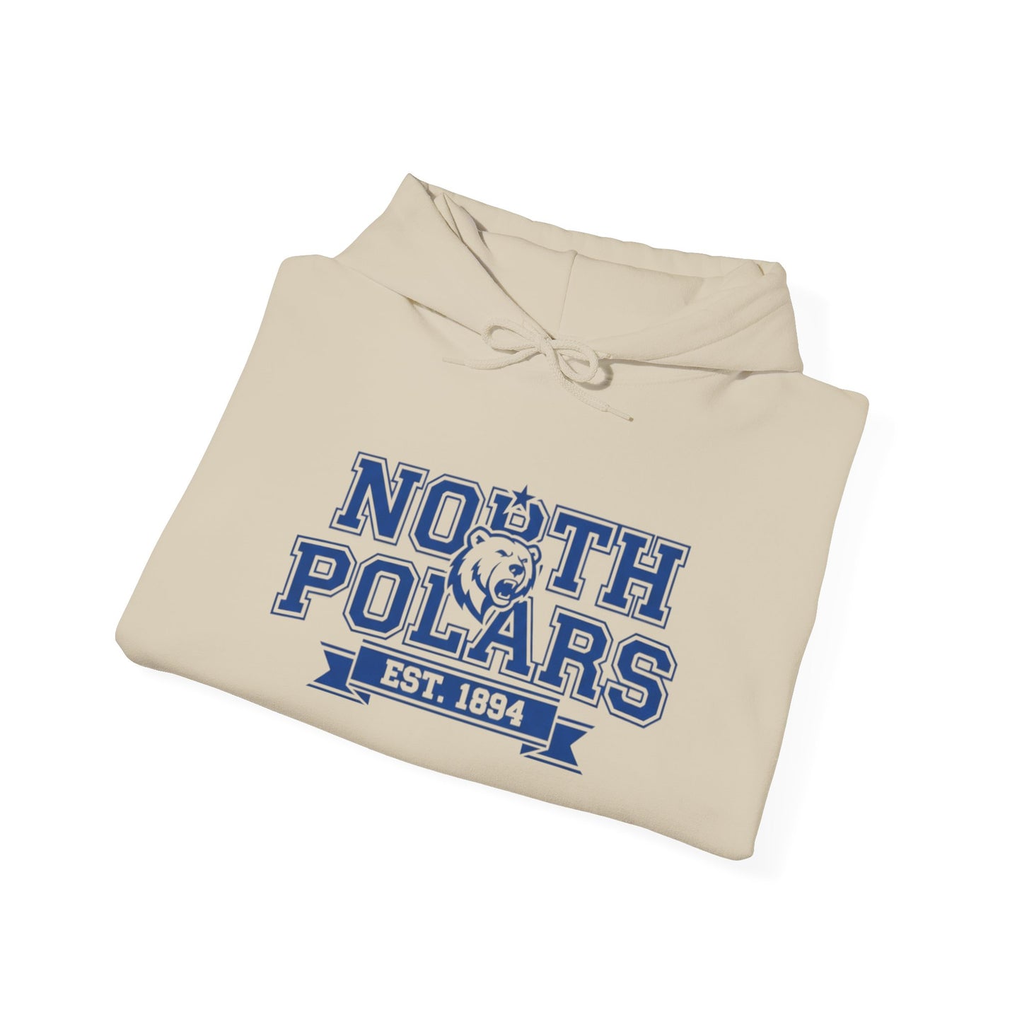Minneapolis North Polars Vintage Design Sweatshirt