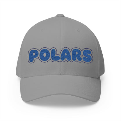 Minneapolis North Polars Embroidered Cap - Classic Style Hat