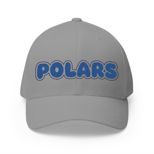 Minneapolis North Polars Embroidered Cap - Classic Style Hat