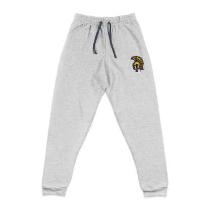 Embroidered Mahtomedi Zephyrs Casual Joggers — Cozy Sweatpants