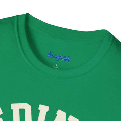 Edina Hornets High School Est. 1949 T-Shirt