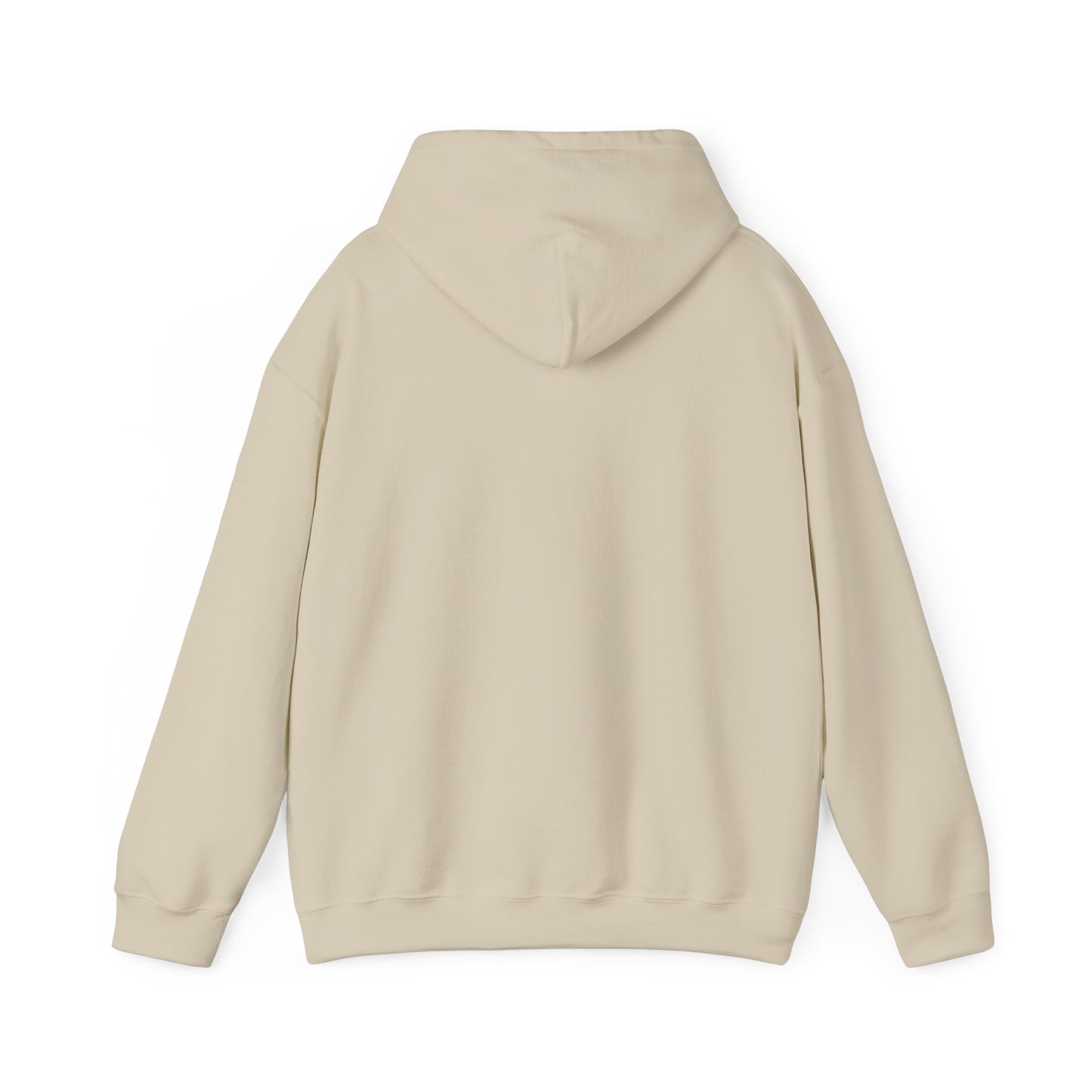 America 250th Anniversary Hoodie