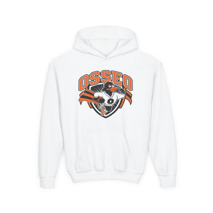 Youth Hooded Sweatshirt - 'Osseo Orioles' Design