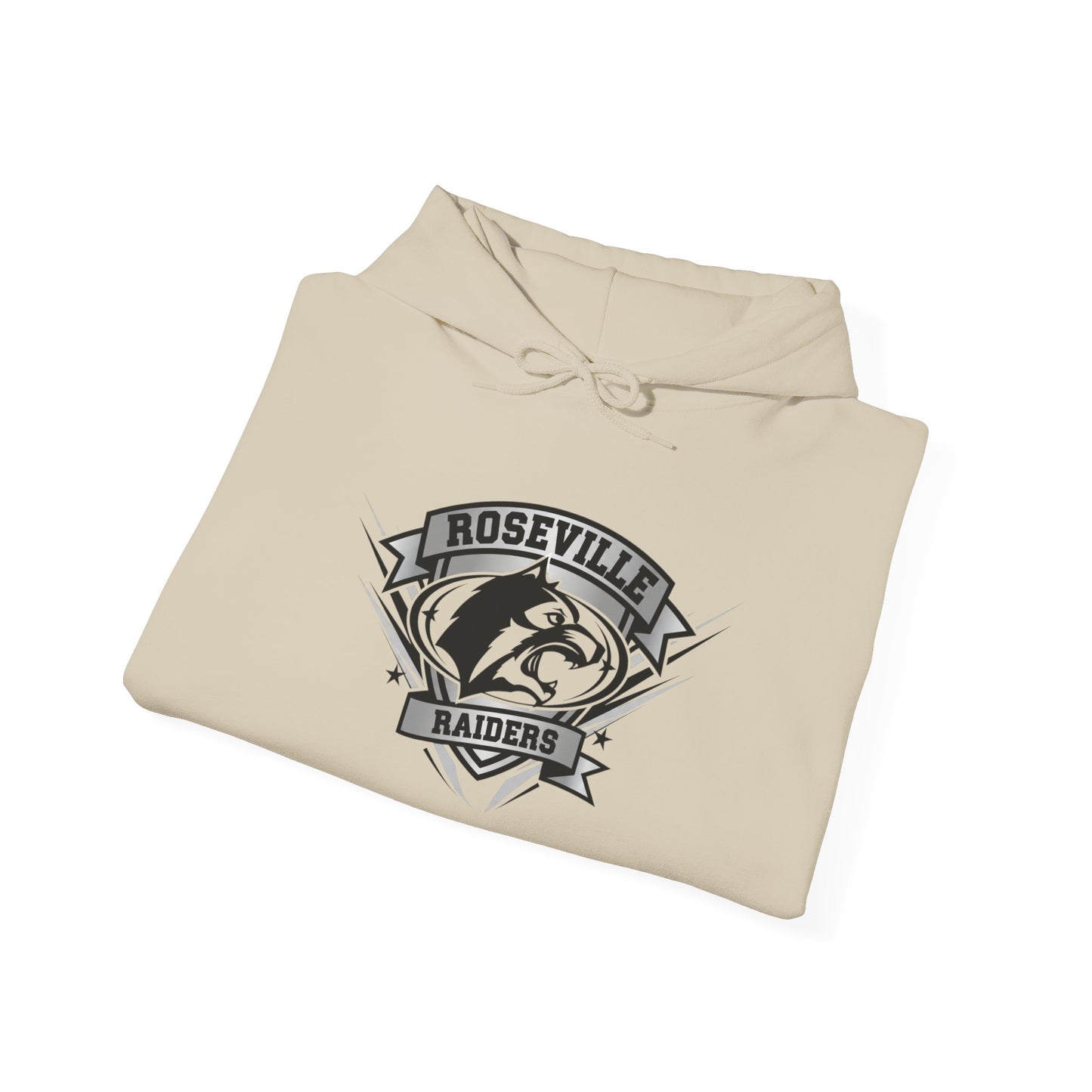 Roseville Raiders Vintage School Mascot Sweatshirt