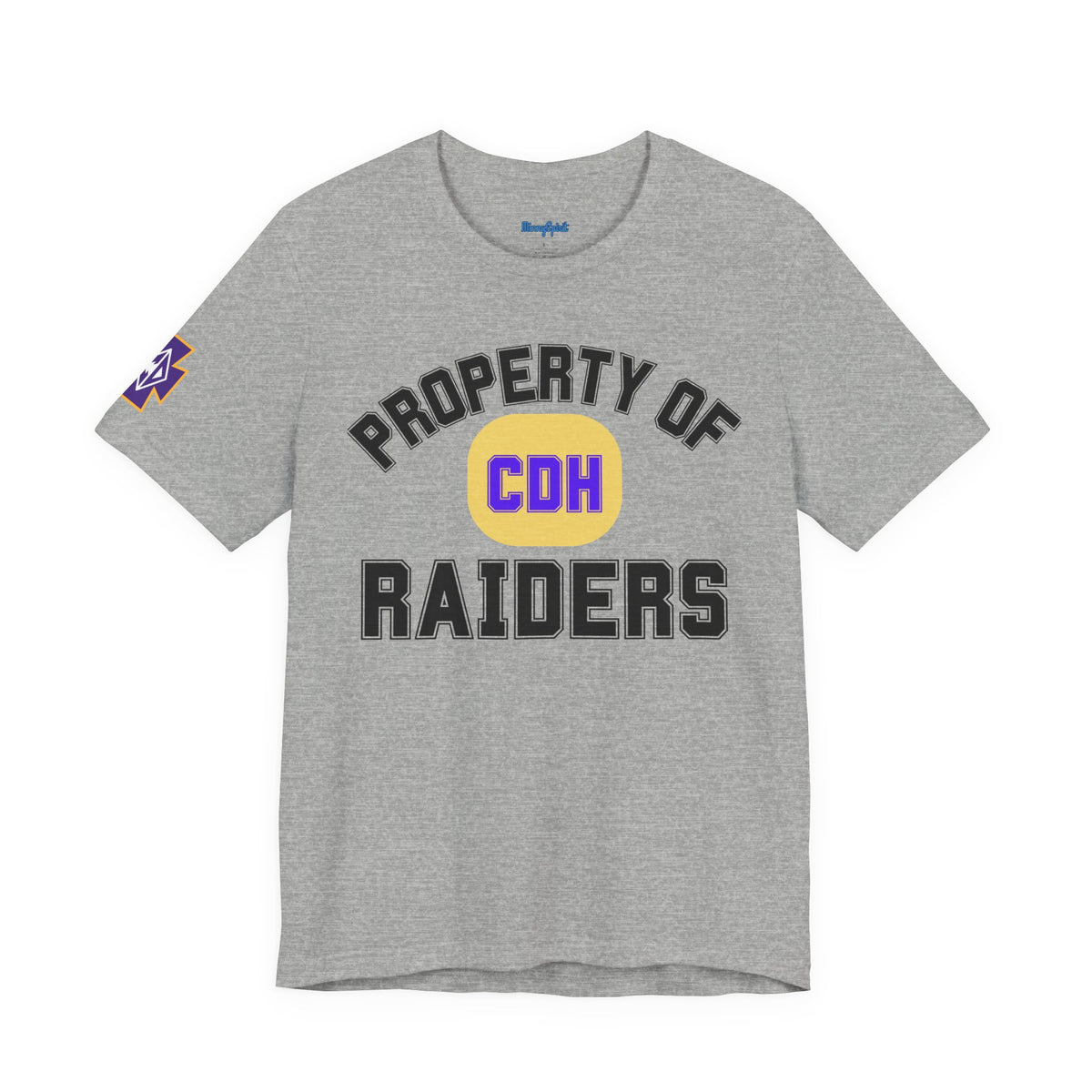 Cretin Derham Hall CDH Raiders Property Of Team T-Shirt